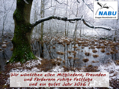 Festtagsgruß aus dem Dosenmoor - Zum Vergrößern bitte anklicken.