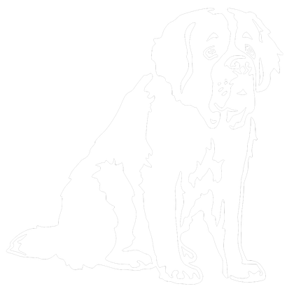 Home Daisys Therapiezentrum Fur Hund Mensch