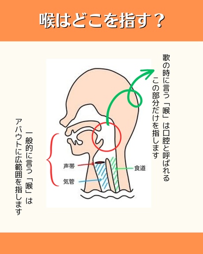 仙台ボイストレーニング Loose Voice 