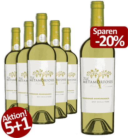 6-er Weinpaket Viile Metamorfosis Tamaioasa Romaneasca - Rumänische Weihrauchtraube 2025
