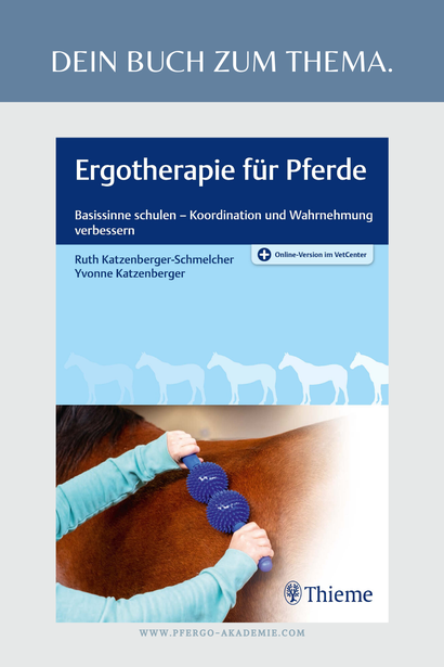 Das Fachbuch zum Thema Ergotherapie für Pferde: Basissinne schulen - Koordinatione und Wahrnehmung verbessern.