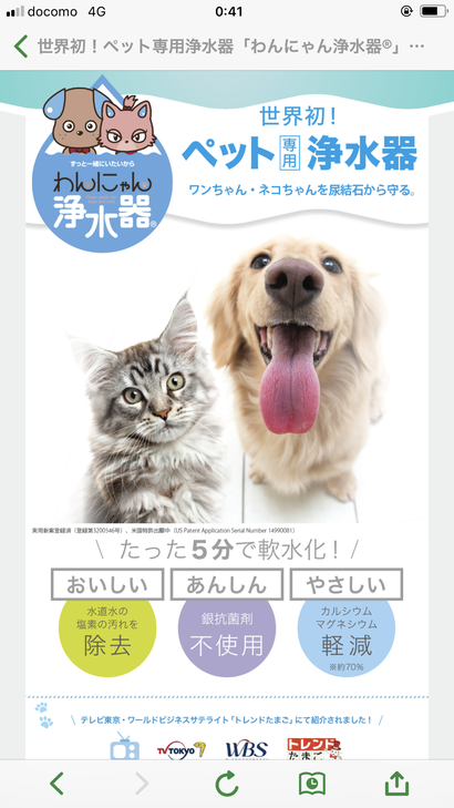 大分|別府|ペットシッター|お散歩代行|ペットホテル|
