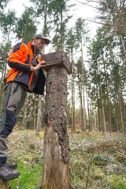 Philipp Dölker kontrolliert einen Eichelhäherkasten