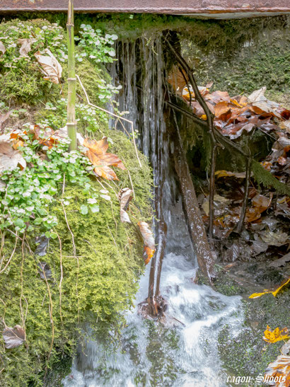Urban; Urbex; Lost-Place; alt; verlassen; Old; Fotograf; Fotografie; Lenninger Tal; Lenningen; Mühle; Wasserkraft; Schlattstall; Lauchermühle