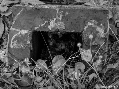 Urban; Urbex; Lost-Place; alt; verlassen; Old; Fotograf; Fotografie; Lenninger Tal; Lenningen; Mühle; Wasserkraft; Unterlenningen