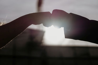 Rosarium Bistro Und Restaurant Regensburg