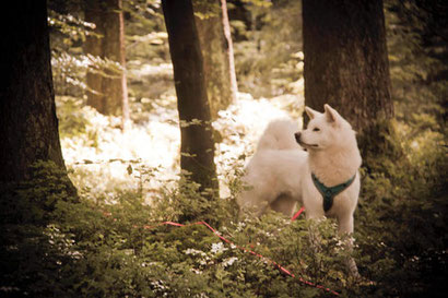 Miyuki (c) Marlen Brandenberg