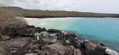 Galápagos Inseln - Insel Isabela - fantastische Vulkanlandschaften