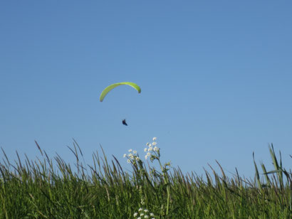 Parapente avec l'Icarus Club ardennais à Douzy