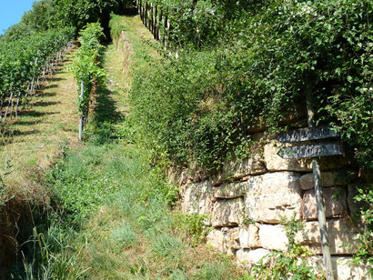 Über die Katzentreppe nach Kurtatsch