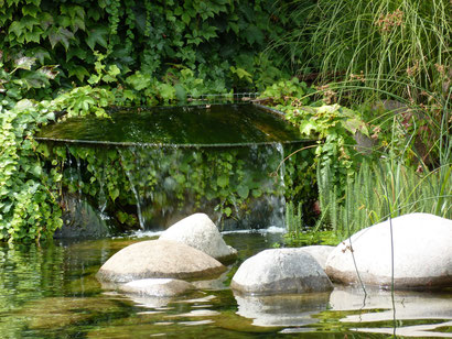 Am wunderbar wunderschönen Teich