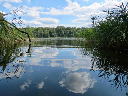 Drewensee Baden Schwimmen