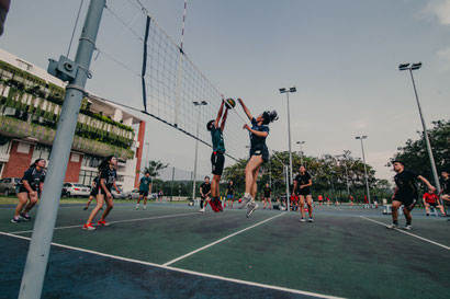 女子バレー留学 y e s esl international inc はカリフォルニア総合留学サービスです