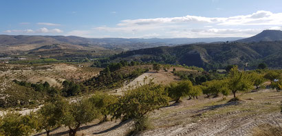 Ob Arenas del Rey, Blick nach Osten Richtung Sierra Nevada.