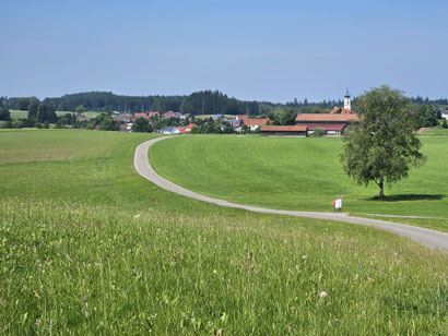 Vor Immenried.