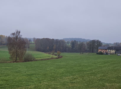 Wondreb-Schlaufe bei Grossenseeser Mühle.