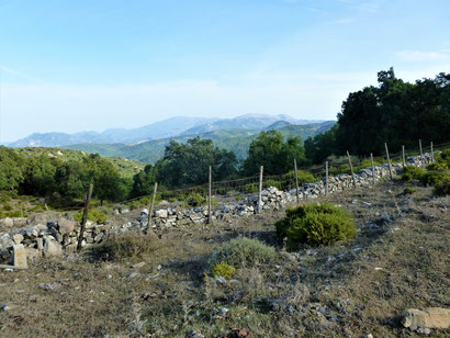 Naturpark Alcornocales. Blick Richtung Sierra de Grazalema.