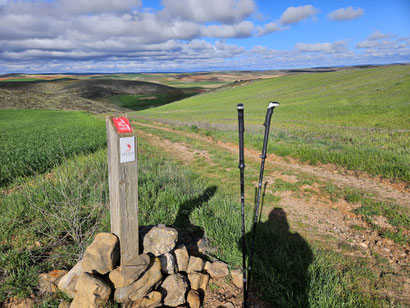 Auf dem Camino del Cid  Richtung Molina.