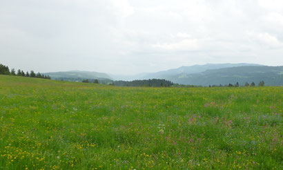 Mont Cornu, Blick ins Vallon de St-Imier.