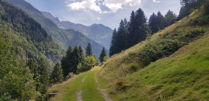 Höhenweg über dem Haslital.