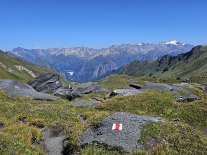 Gana Negra. Blick auf Adula-Kette mit Luzzone-Stausee und Rheinwaldhorn-Adula (rechts).