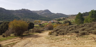 Im Pinar del Duque, Blick zum Guillimona.