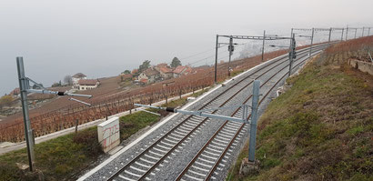 Rebberge von Grandvaux, Blickrichtung West.