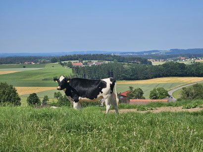 Auf dem Schwellenberg. Blick über das Quellgebiet der Riss.
