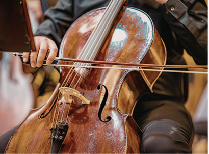 Violoncello