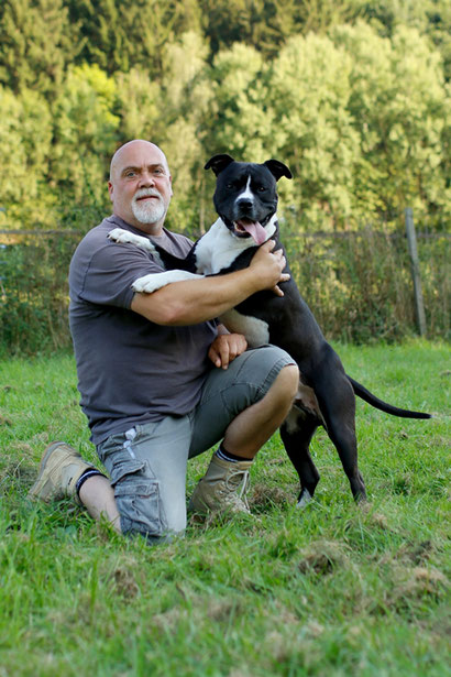 vorbereitung auf den wesenstest hundeschule biggesees webseite