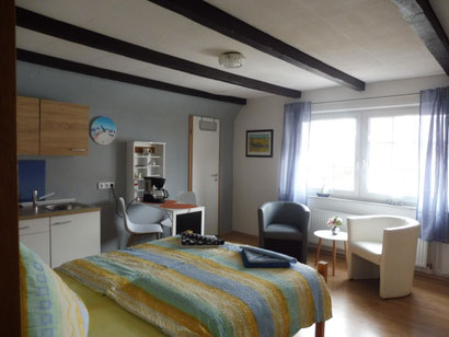 kombinierter Wohn- / Schlafraum mit Kochnische Apartment Ebbe