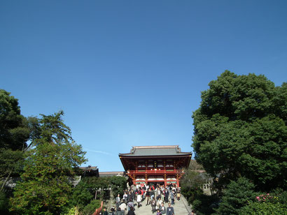 　　　　　　　　　鎌倉　鶴岡八幡宮