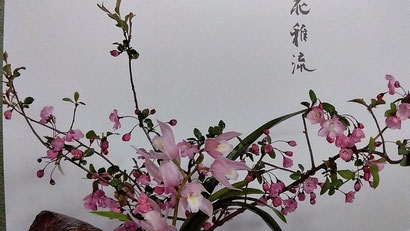 海棠・蘭