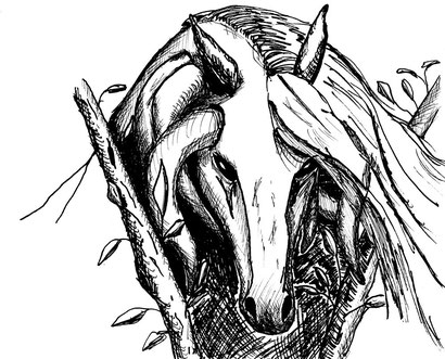 Ein gehörntes Pferd, grau und düster, mit Asche - Mähne. Nachtmähre leitet sich von Mähre ab, geschundene Pferde. Die Ursprünge dieser dunklen Kreaturen ist verschollen. Doch Verbindungen zu Nachtmahren, den Alpträumen, scheinen zu bestehen.