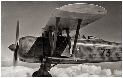 Una rarissima immagine di Ernesto Botto ai comandi del suo Cr.42 "Falco" Immagine di www.finn.it