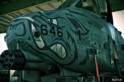 Il muso di un A-10 con le 7 canne del GAU-8