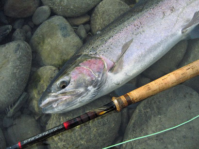 Meiser MKS Spey Rod Steelhead