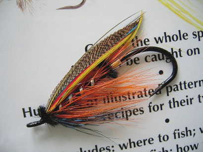 Salmon Steelhead Fly Thunder and Lightning