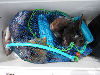 釣果