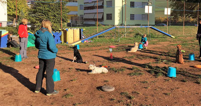 Hundeschule Vanessa 