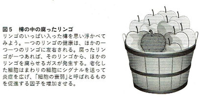 「テロメア・エフェクト」より