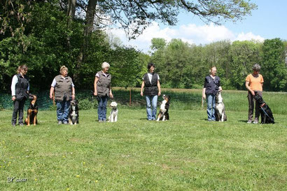 In den Plauschhundegruppen der Hundeschule Matte lernen die Hunde und ihre Menschen spielerisch. Alltagssituationen werden geübt, Gegenstände gezeigt.