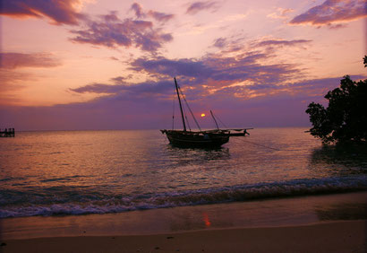 Zanzibar from Dante Harker.com