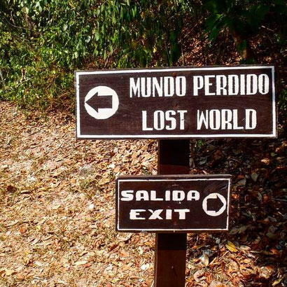 Which way would you go?