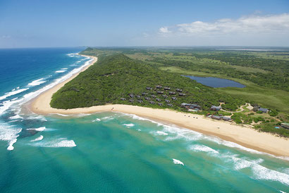 White Pearl Resort - Dante Harker