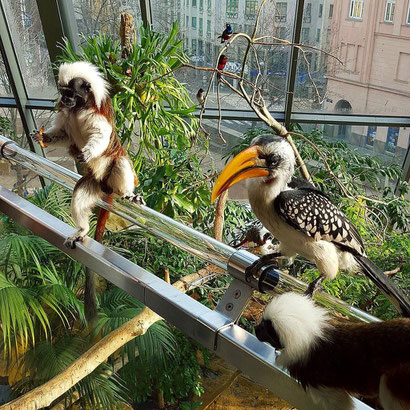 Feeding time at the Aqua Terra Zoo more info at danteharker.com