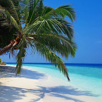 The amazing Maldives - Dante Harker
