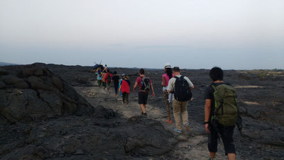 Our trek through the volcanic Danakil Depression, Ethiopia. Dante Harker