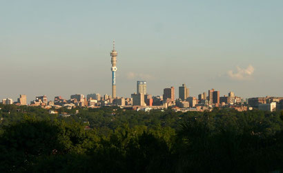 Johannesburg's skyline is surprisingly green when viewed from the hills. Dante Harker