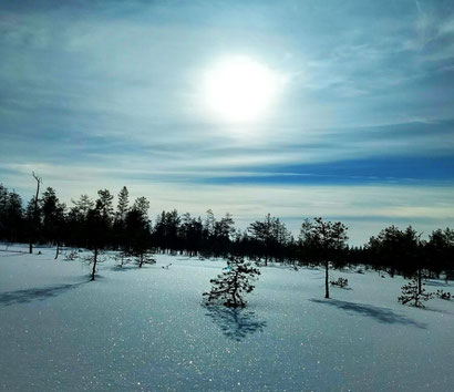 Lapland in winter - Dante Harker